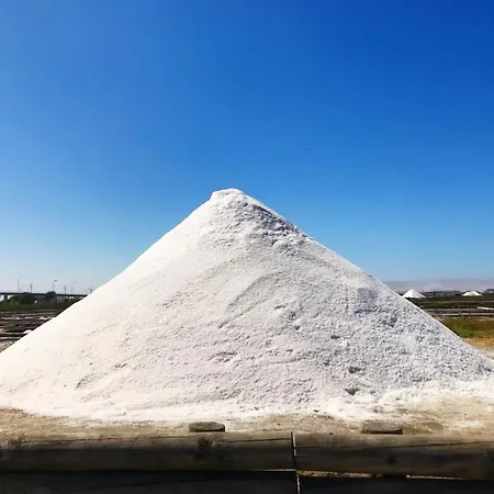 Aveiro's Dock Apartamento