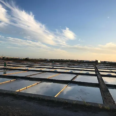 Aveiro's Dock Apartamento *