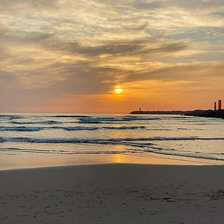 Aveiro's Dock Aveiro