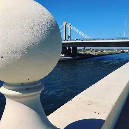 Aveiro's Dock Aveiro