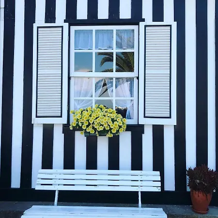 Aveiro's Dock Apartment Aveiro