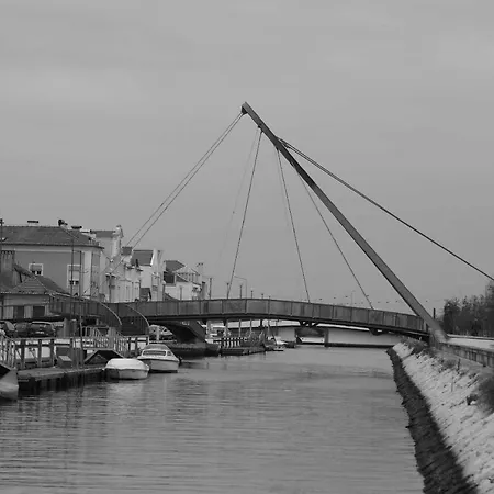 Aveiro's Dock Aveiro