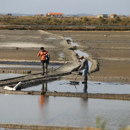 Apartamento Aveiro's Dock *