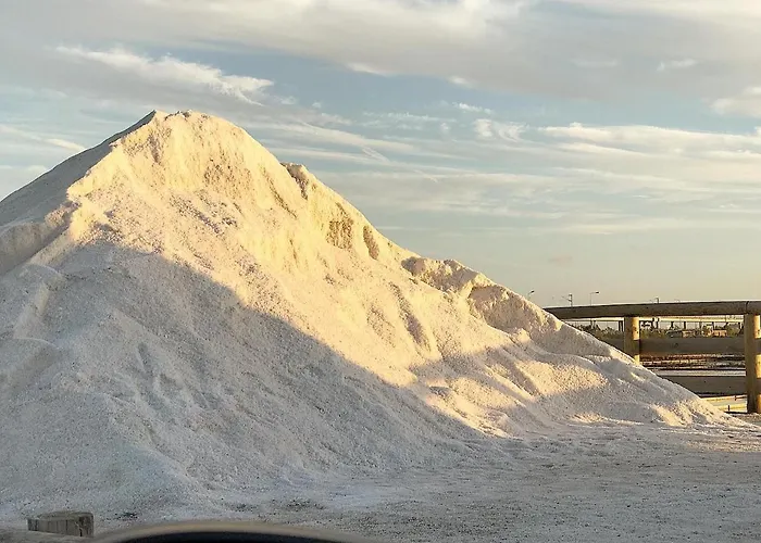 Apartment Aveiro's Dock