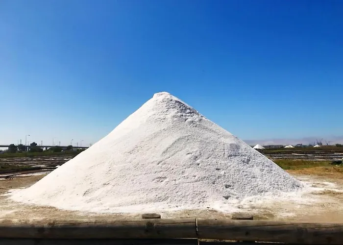 Aveiro's Dock Appartement