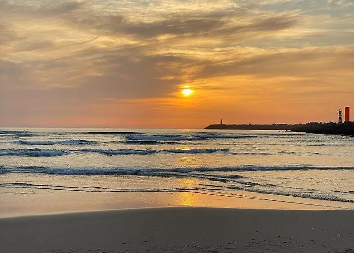 Aveiro's Dock Aveiro