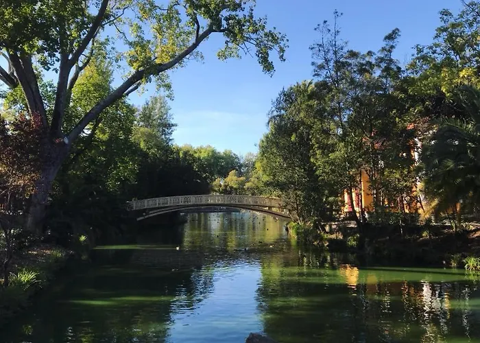 Aveiro's Dock Appartement