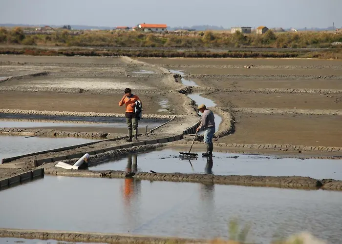 Διαμέρισμα Aveiro's Dock *